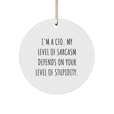 CFO Gifts from Friends - Funny Circle Ornament for Men, Women or Coworkers - I'm a CFO, My Level of Sarcasm Depends on Your Level of Stupidity - White Circle Ornament for Christmas - Image 1